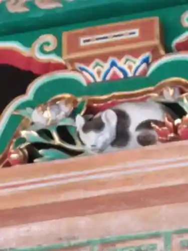 日光東照宮(栃木県)