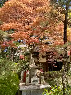 瑞鳳寺(宮城県)