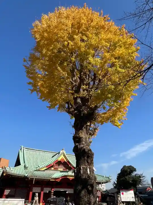 神田神社(神田明神)(東京都)
