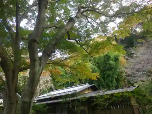 瑞泉寺の庭園