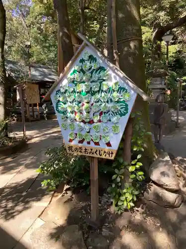 駒木諏訪神社のおみくじ