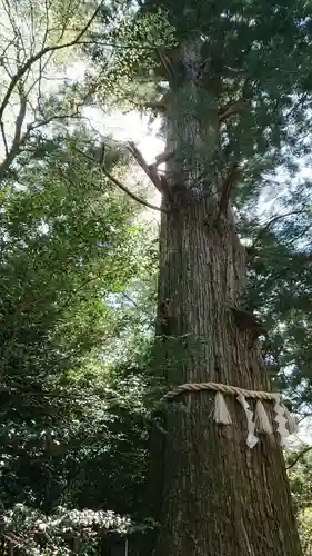 高尾山薬王院のその他建物