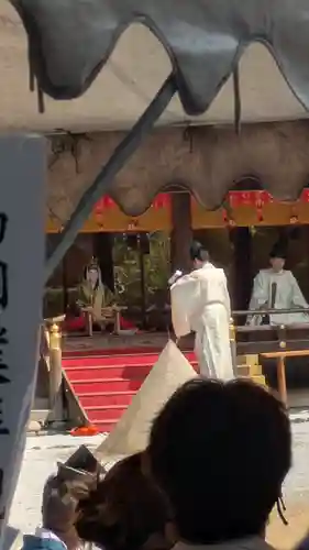 賀茂別雷神社（上賀茂神社）(京都府)