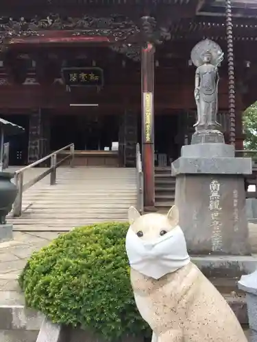 不動院(板橋不動尊)の狛犬