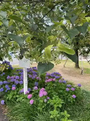 真宗大谷派名古屋別院(愛知県)
