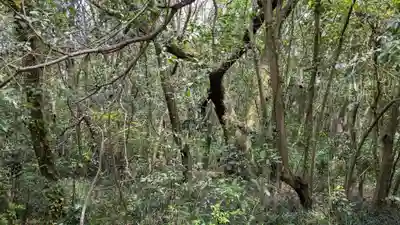 蛭子神社の自然