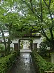 元慶寺(京都府)