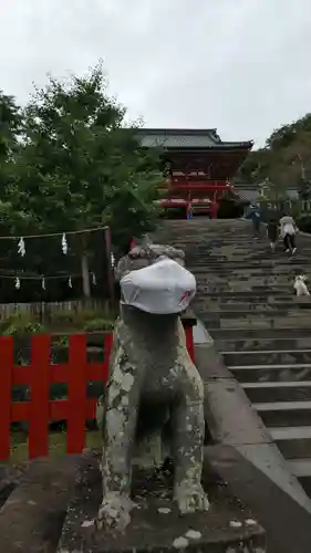 鶴岡八幡宮の狛犬