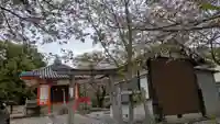 圓藏院(円蔵院)(京都府)