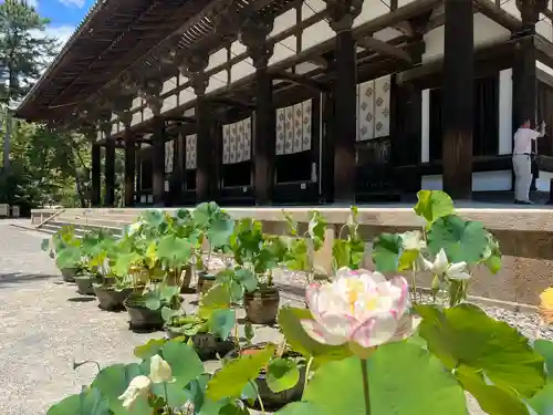 唐招提寺(奈良県)