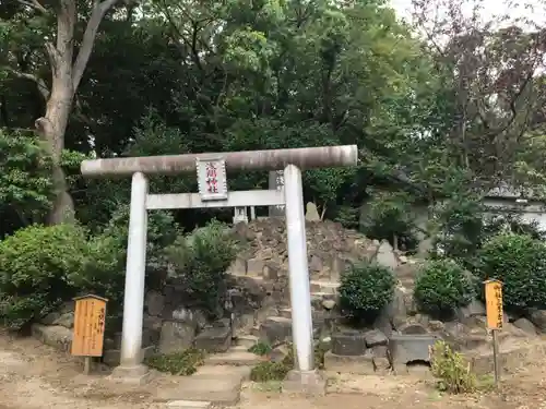 姉埼神社の鳥居