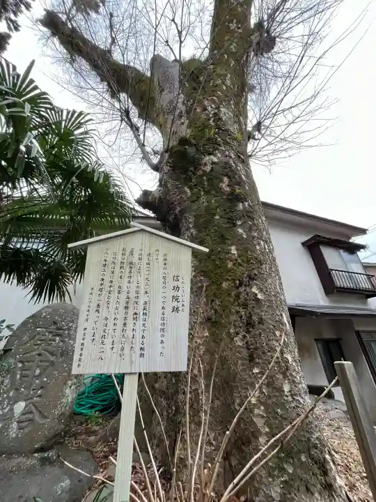 日枝神社(静岡県)