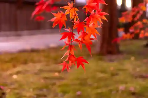 諏訪大社下社秋宮(長野県)