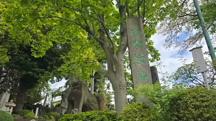 善養寺(善養密寺)の{uncategorized: "未分類", other: "その他", undefined: "問題あり", building: "その他建物", grave: "お墓", sacred_gate: "鳥居", guardian: "狛犬", statue: "像", buddha: "仏像", history: "歴史", nature: "自然", garden: "庭園", animal: "動物", pagoda: "塔", temizu: "手水舎", mountain_gate: "山門・神門", sanctuary: "本殿・本堂", subordinate: "末社・摂社", art: "芸術", scenery: "景色", jizo: "地蔵", ema: "絵馬", goshuin: "御朱印", omikuji: "おみくじ", items: "授与品その他", amulet: "お守り", goshuincho: "御朱印帳", eats: "食事", festival: "お祭り", votive_dance: "神楽", shichigosan: "七五三参", wedding: "結婚式", experience: "体験その他", initially: "初詣", around: "周辺", anti_infection: "感染症対策"}