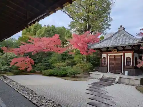 建仁寺（建仁禅寺）(京都府)