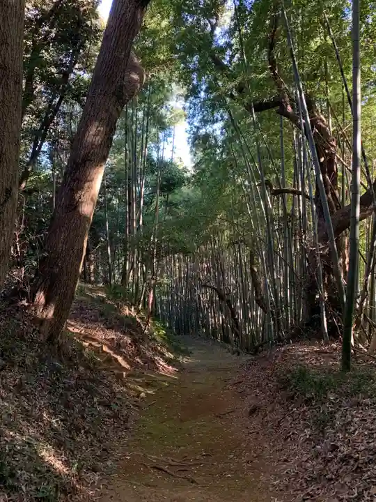 面足神社の自然