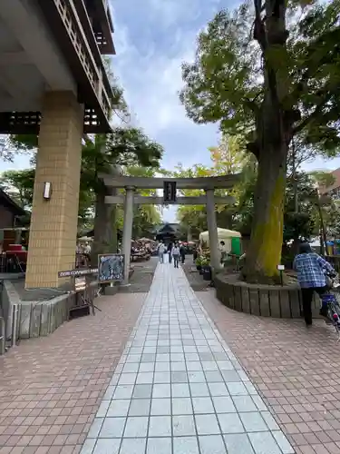 亀岡八幡宮（亀岡八幡神社）(神奈川県)