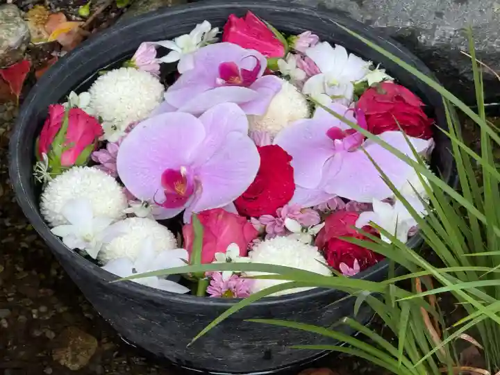 武蔵一宮氷川神社(埼玉県)