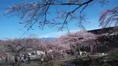 宝積山光前寺の自然