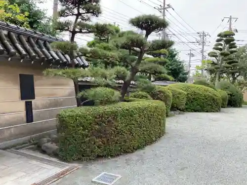 蓮光寺の建物その他