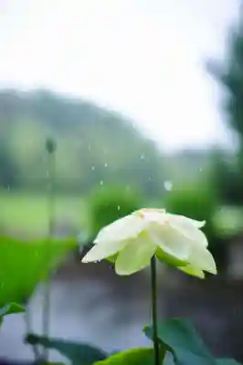 浄土寺(兵庫県)