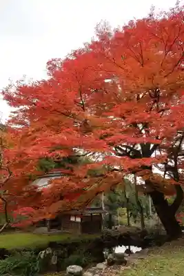 悉地院(滋賀県)