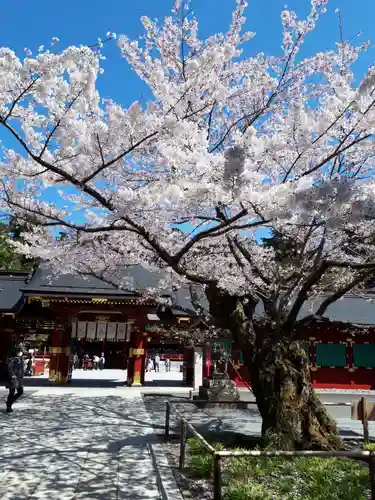 志波彦神社・鹽竈神社の自然