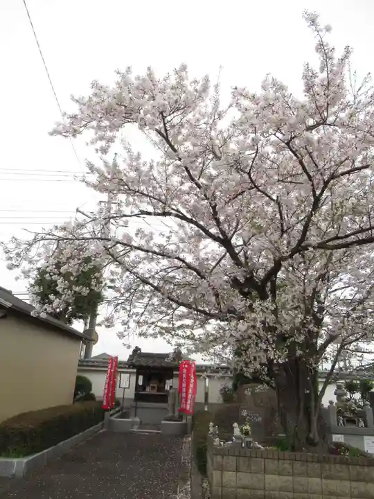 真光寺(千葉県)