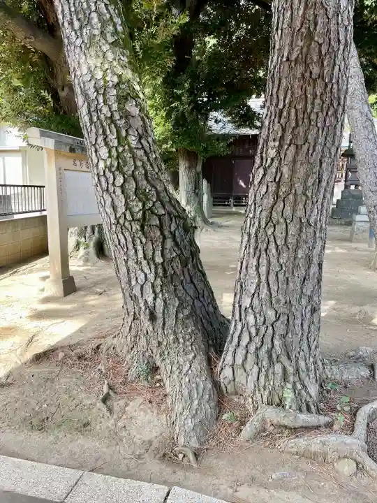 柴又八幡神社(東京都)