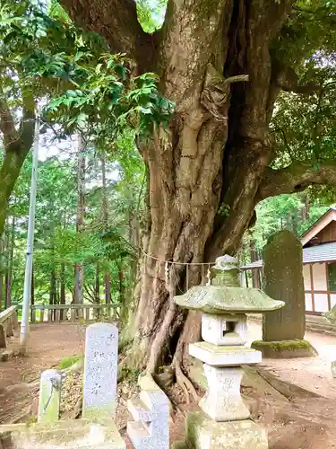 雨引千勝神社(茨城県)