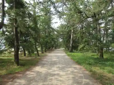 天橋立神社(京都府)