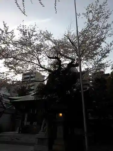 天祖神社の自然