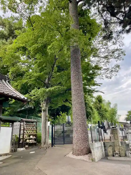 医王寺(埼玉県)