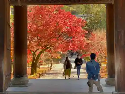 南禅寺(京都府)
