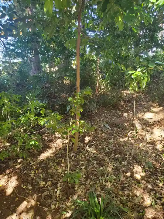 佐野赤城神社の自然
