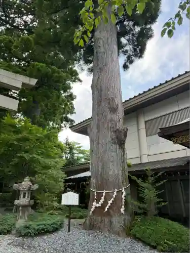 富士山東口本宮 冨士浅間神社(静岡県)