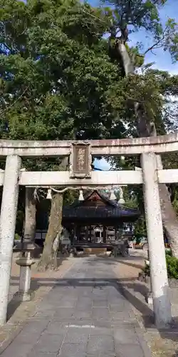 御霊神社の鳥居