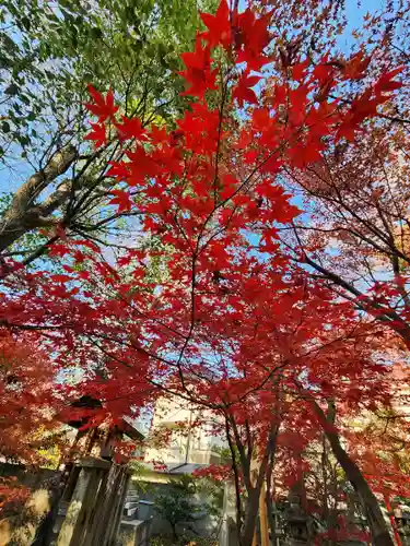 呉服神社(大阪府)