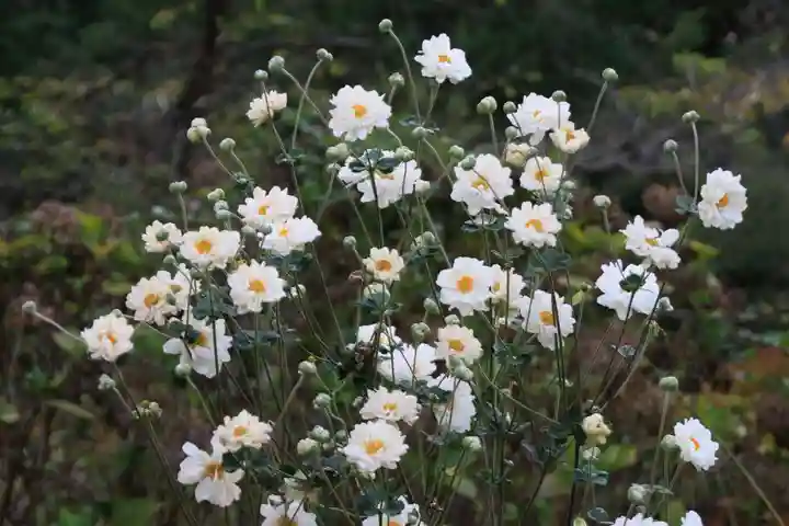 開成山大神宮の庭園