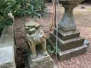 渋野八幡神社(徳島県)