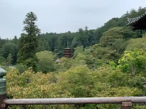 長谷寺の景色