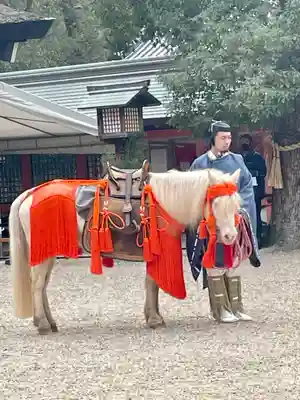 住吉大社(大阪府)