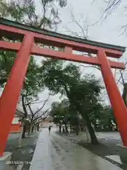 花園神社の鳥居