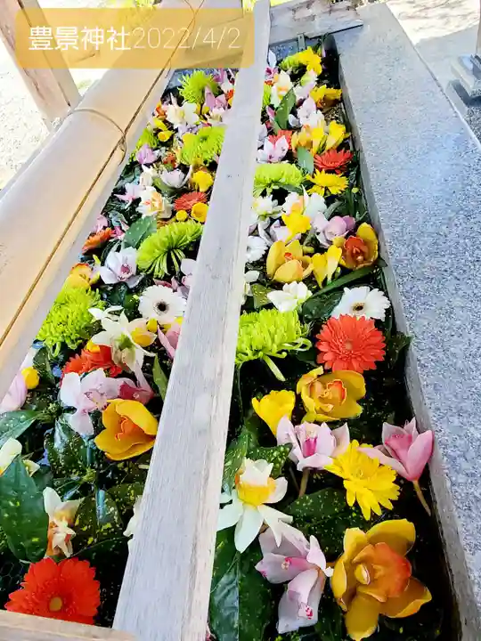 豊景神社の手水舎