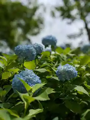 尊永寺(静岡県)