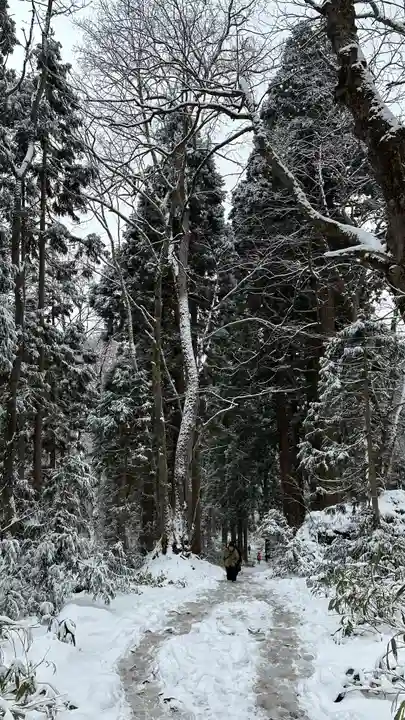 戸隠神社九頭龍社(長野県)