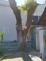 飛来神社(佐太天神宮旧御旅所)(大阪府)