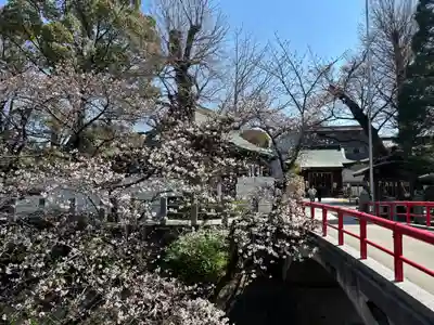 松戸神社(千葉県)