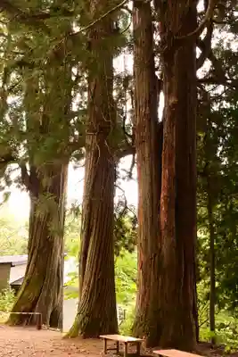 戸隠神社火之御子社(長野県)