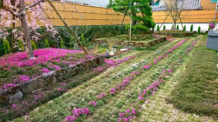 寿量山 速成寺の庭園